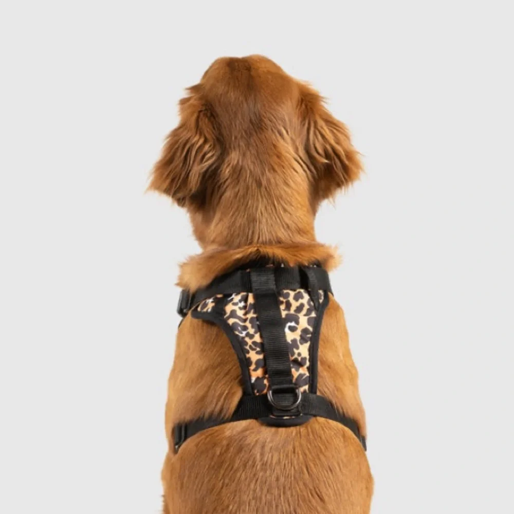 Canada Pooch leopard print The Everything harness sz L. NWT